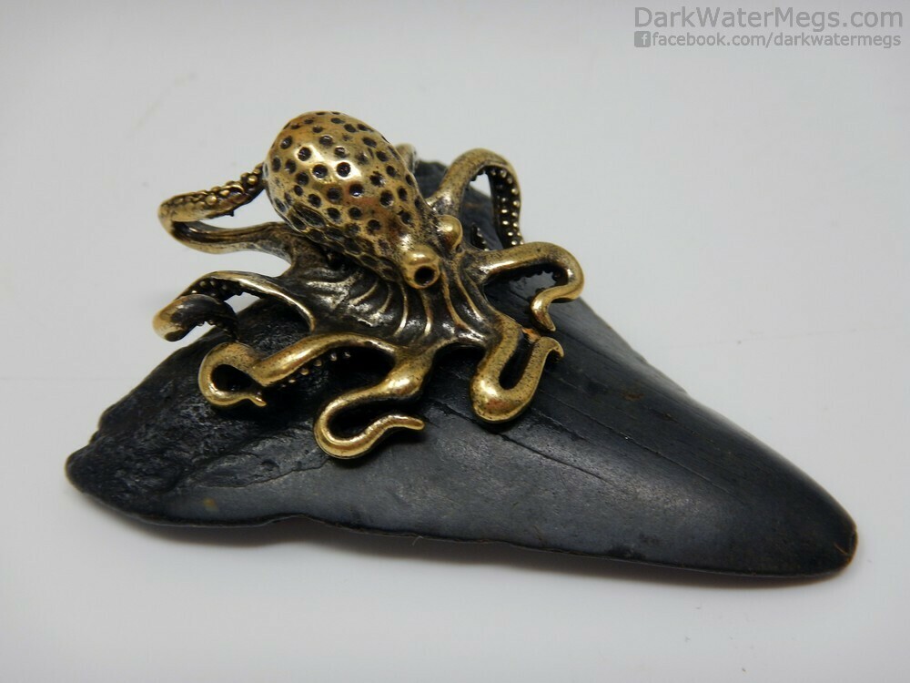 2.79&quot; Octopus Setting on Dark Megalodon Tooth Necklace