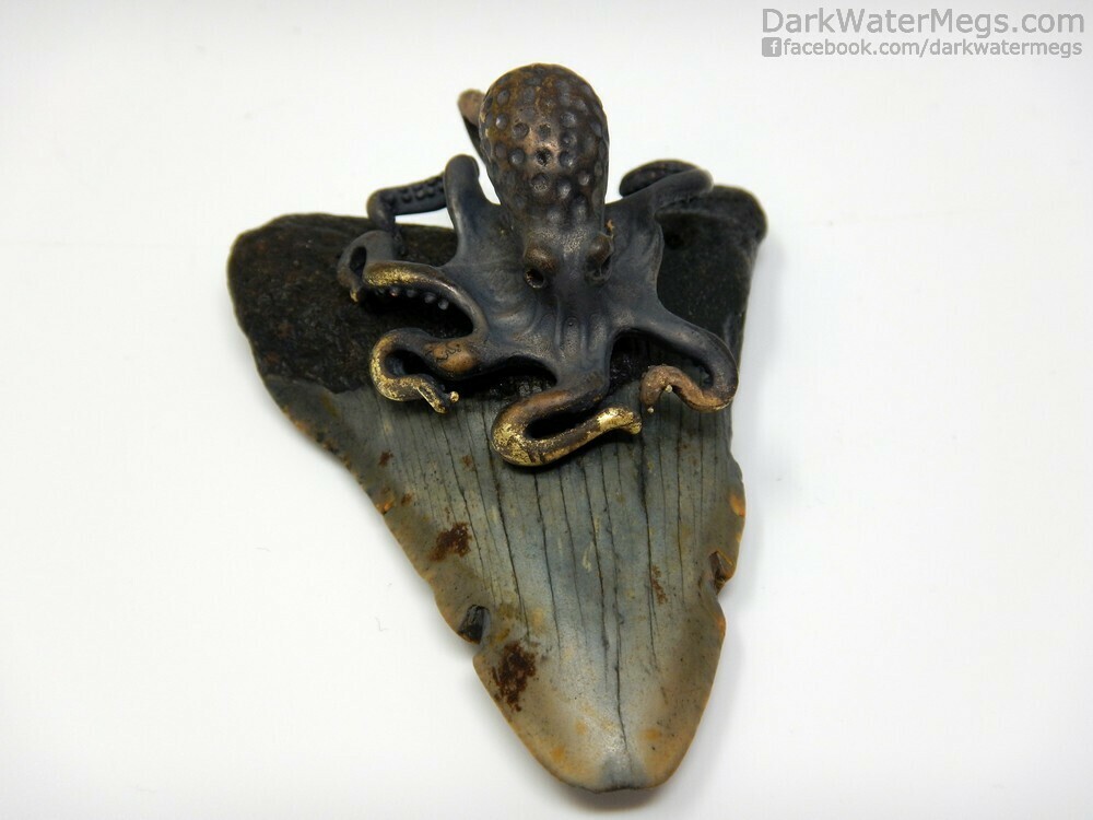 2.64&quot; Octopus Setting on Fossil Megalodon Necklace