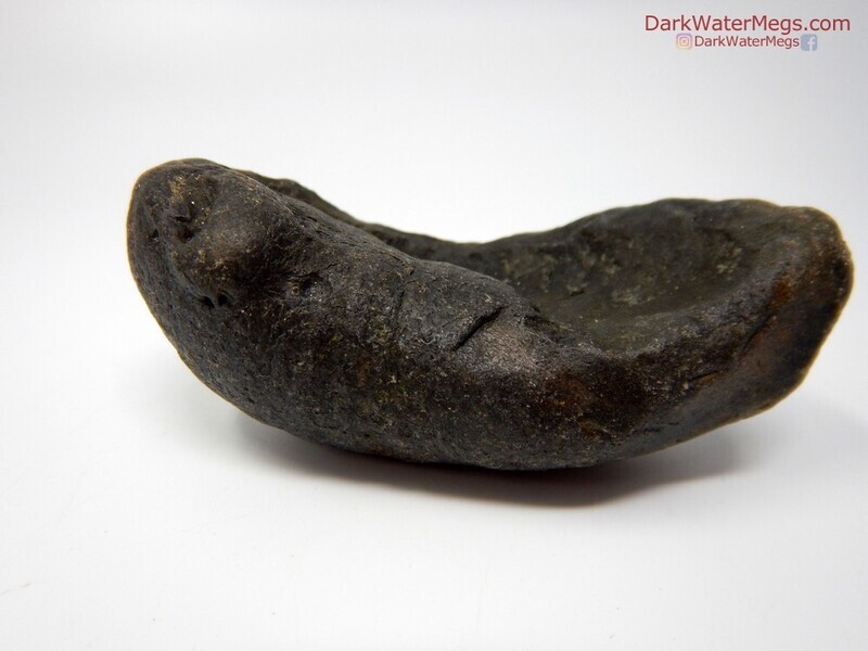 3.69&quot; Jet Black Fossil Whale Ear Bone