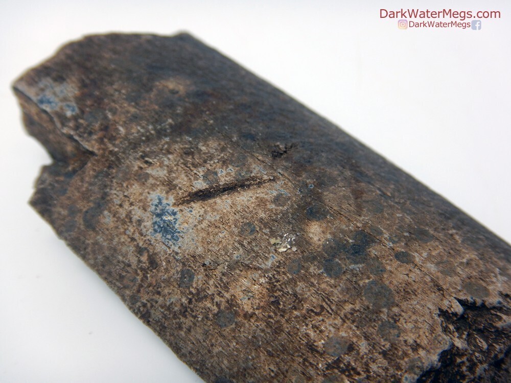 3.31&quot; Tooth Marked Whale Rib Fossil