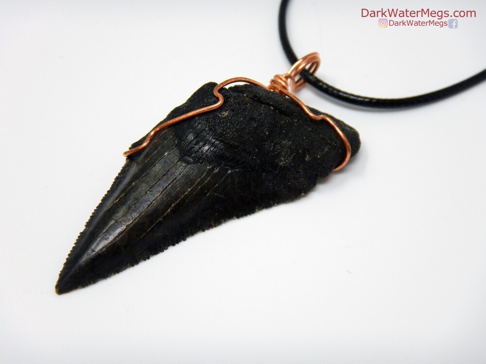 2.26&quot;Sharp Megalodon Necklace