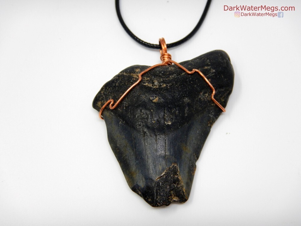 2.40&quot; Dark Megalodon Necklace