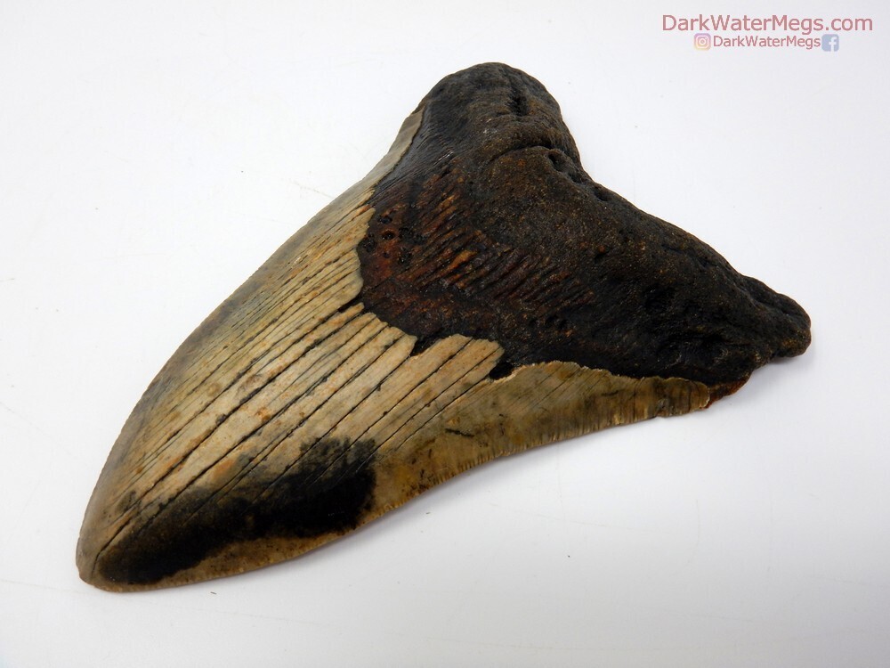 5.50&quot; monster lowere dark patterned