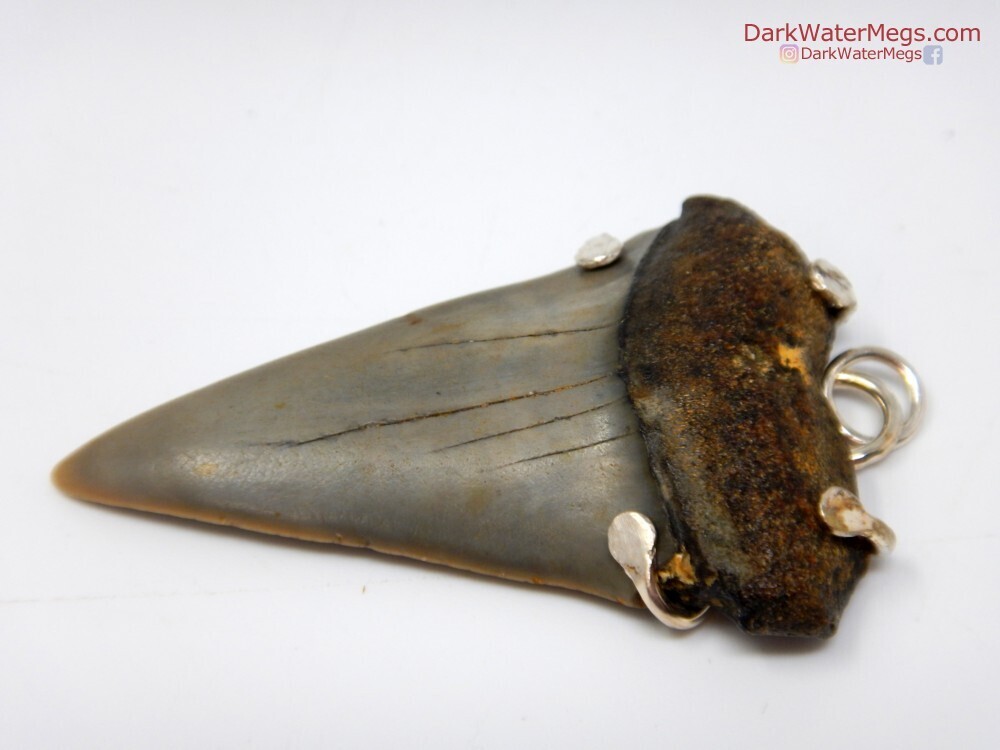 1.94&quot;  Mako Necklace