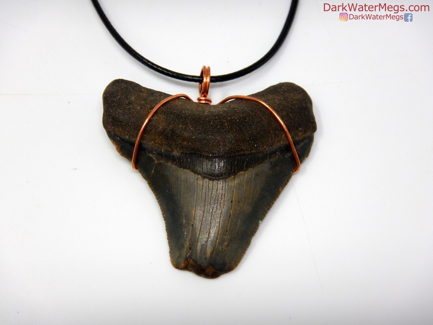 2.10&quot; Dark Megalodon Necklace