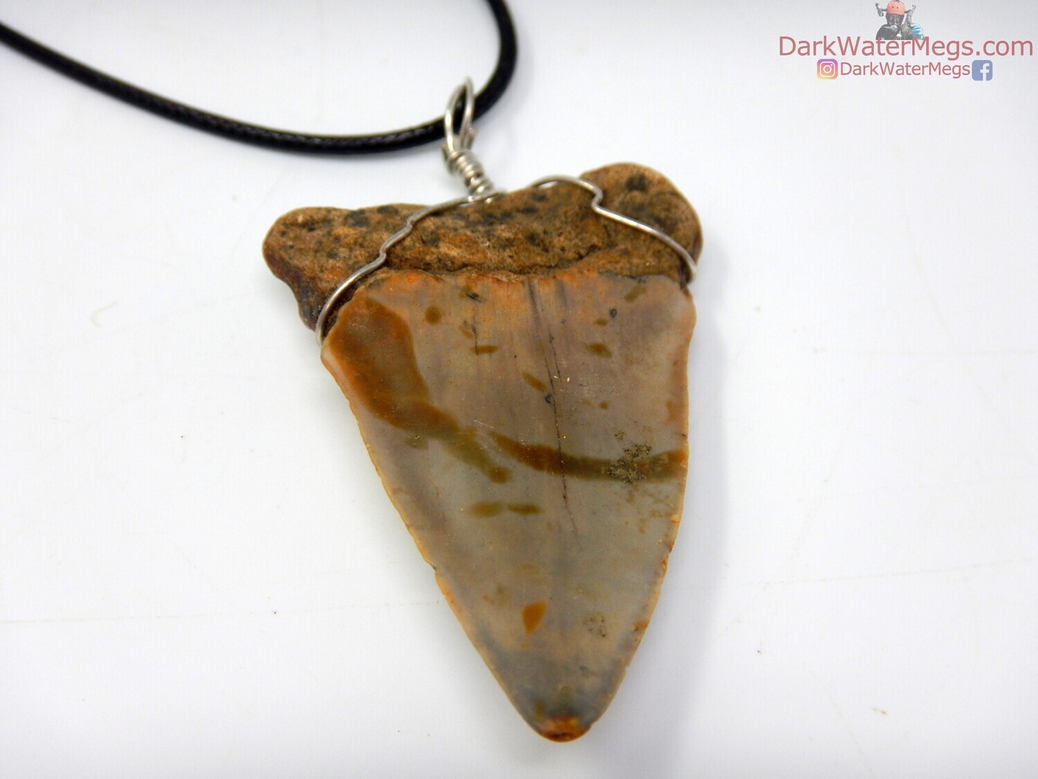 2.15&quot; Fossilized Mako Necklace