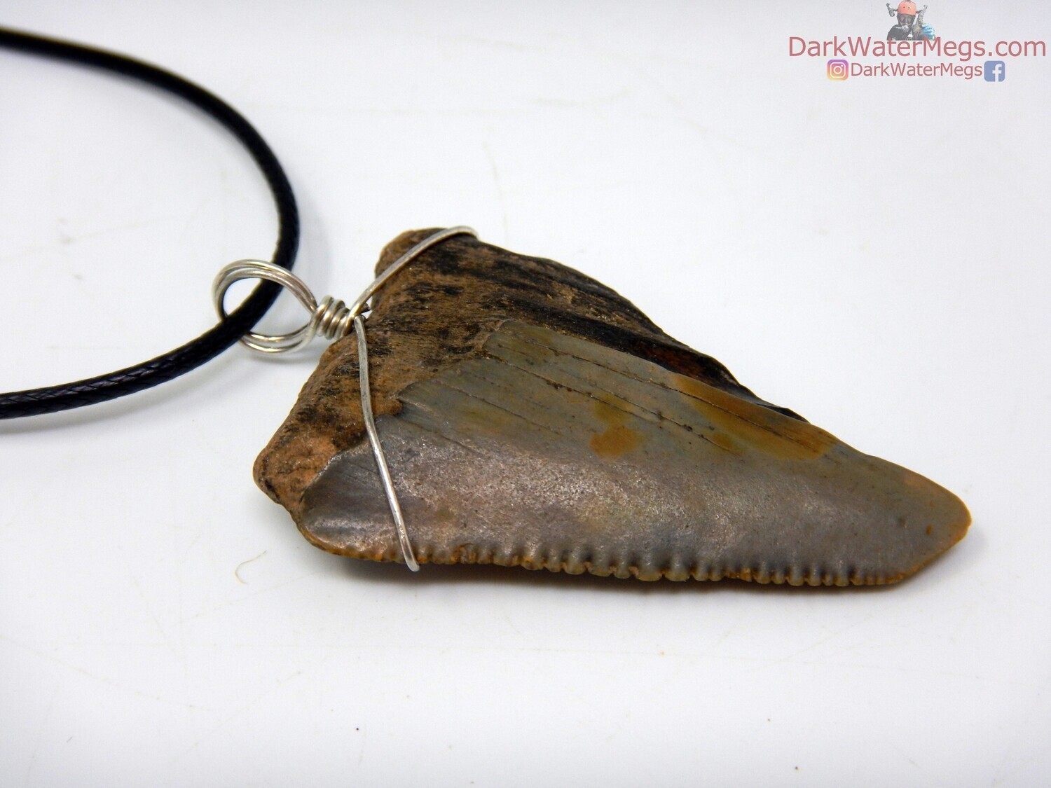1.78&quot; fossil great white necklace