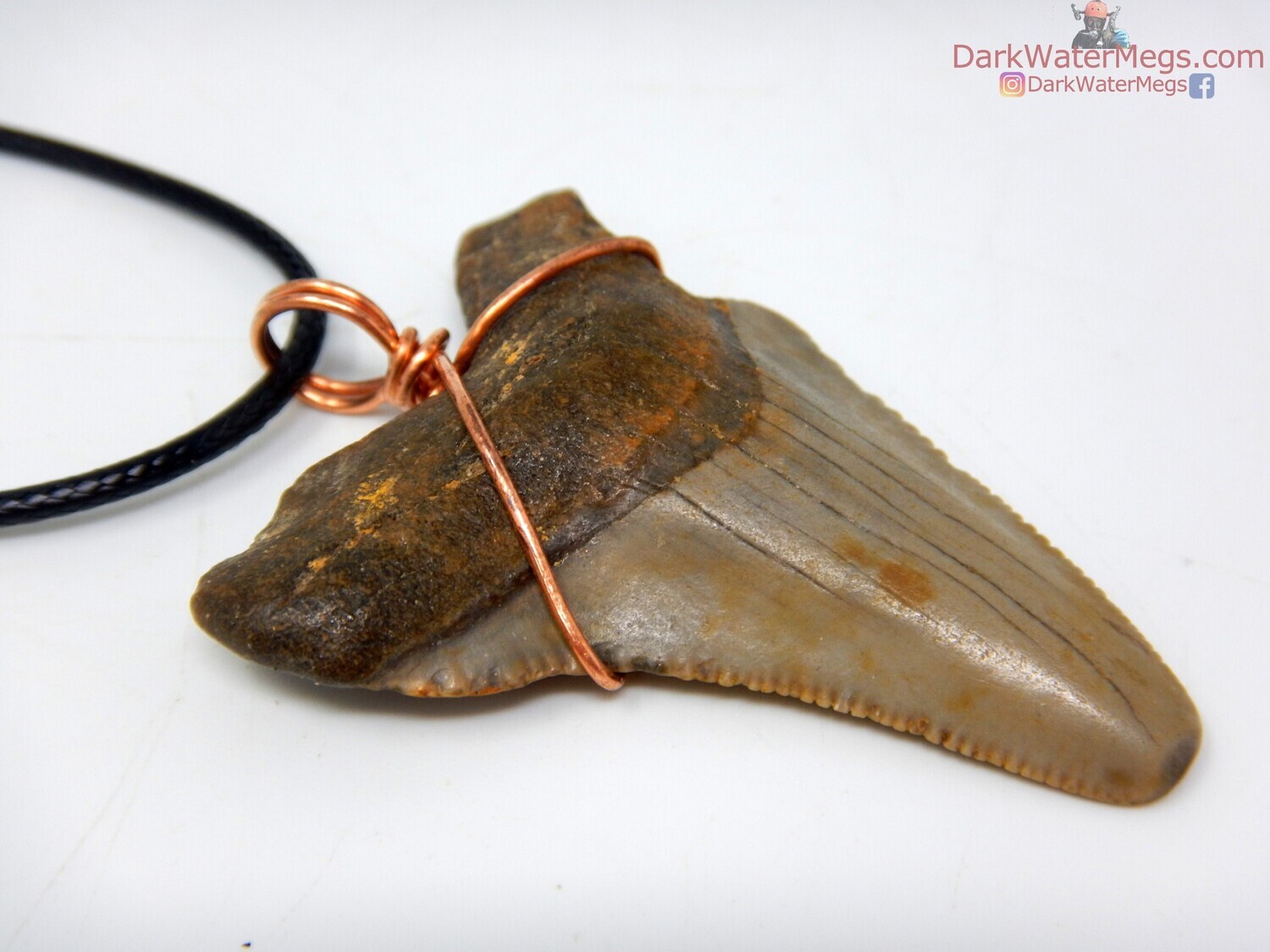 1.94&quot; tan and brown Megalodon Necklace
