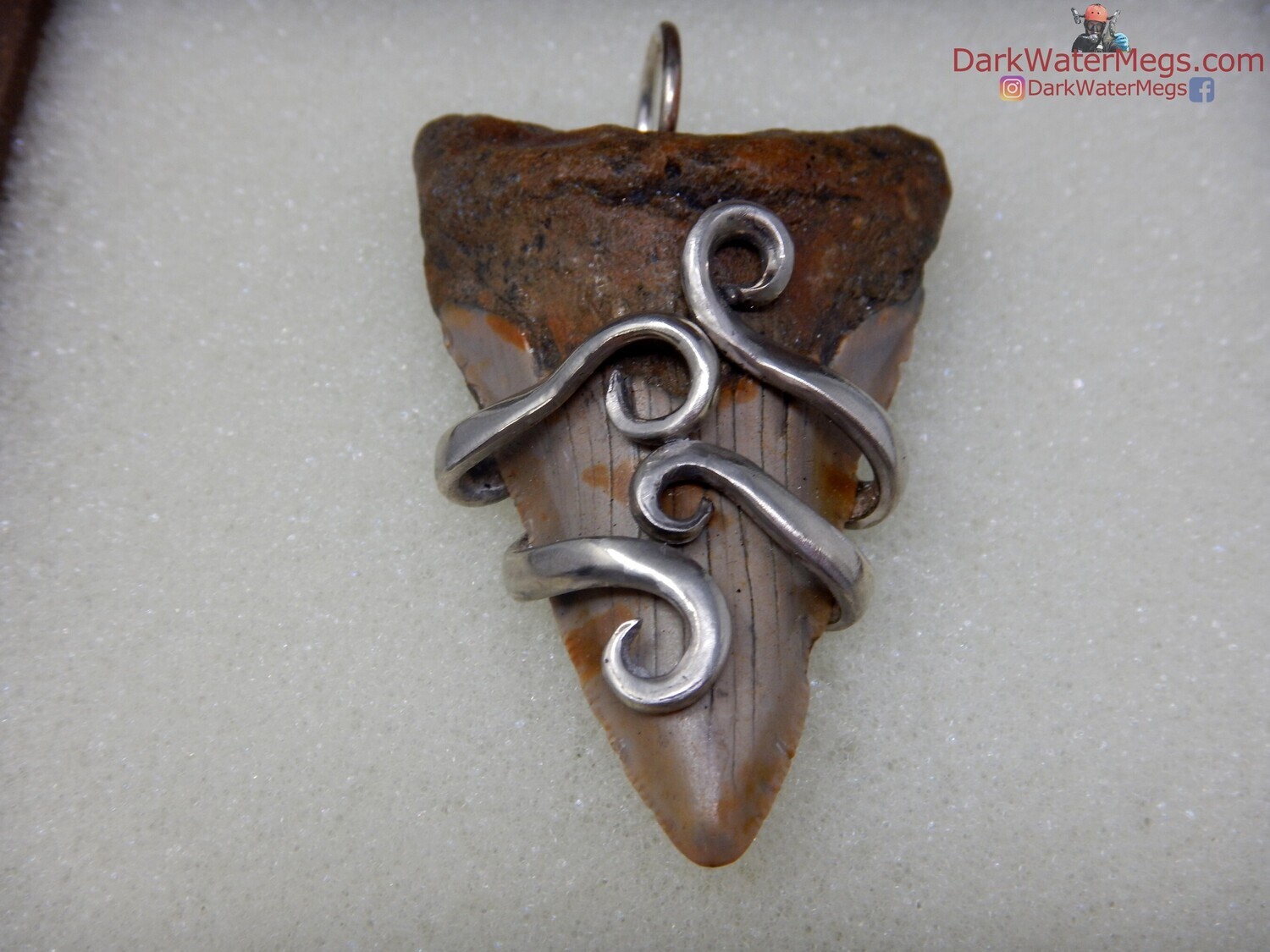 2.57&quot; Fork Wrapped Megalodon Necklace In Box