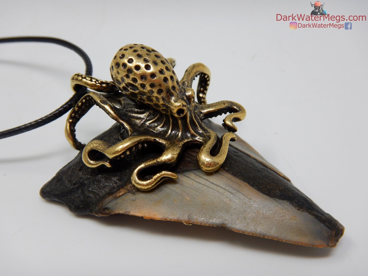 2.51&quot; Octopus Pendant  Fossil Megalodon Necklace
