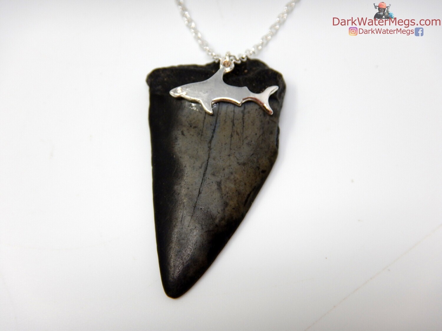 1.91&quot;  Mako Fossil Shark Necklace