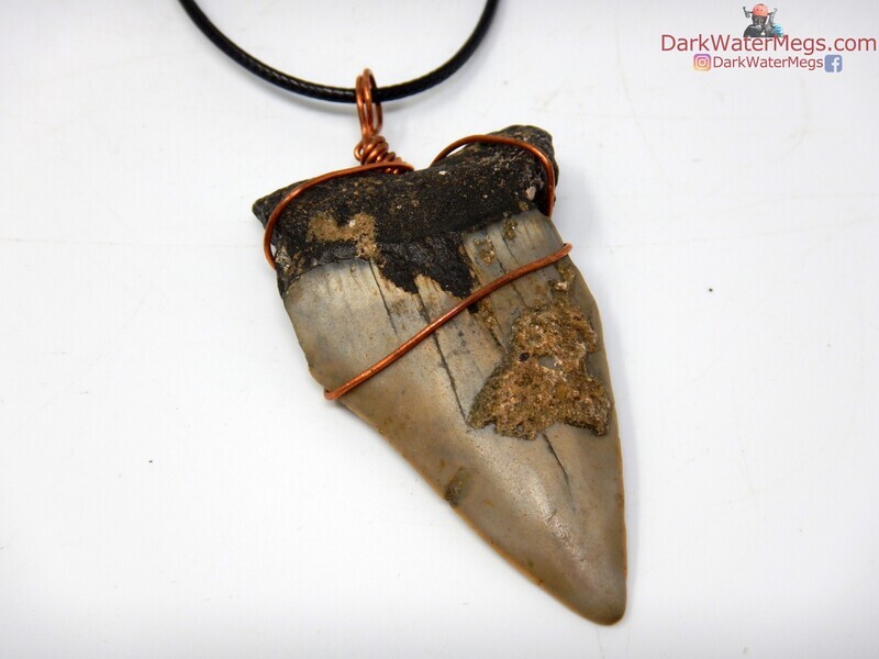 2.35&quot;  Mako Necklace Wrapped