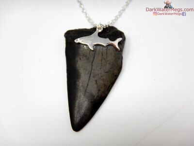 1.91" Mako Fossil Shark Necklace