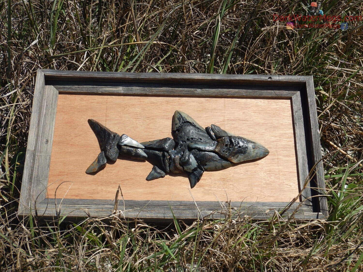 megalodon made from megalodon teeth