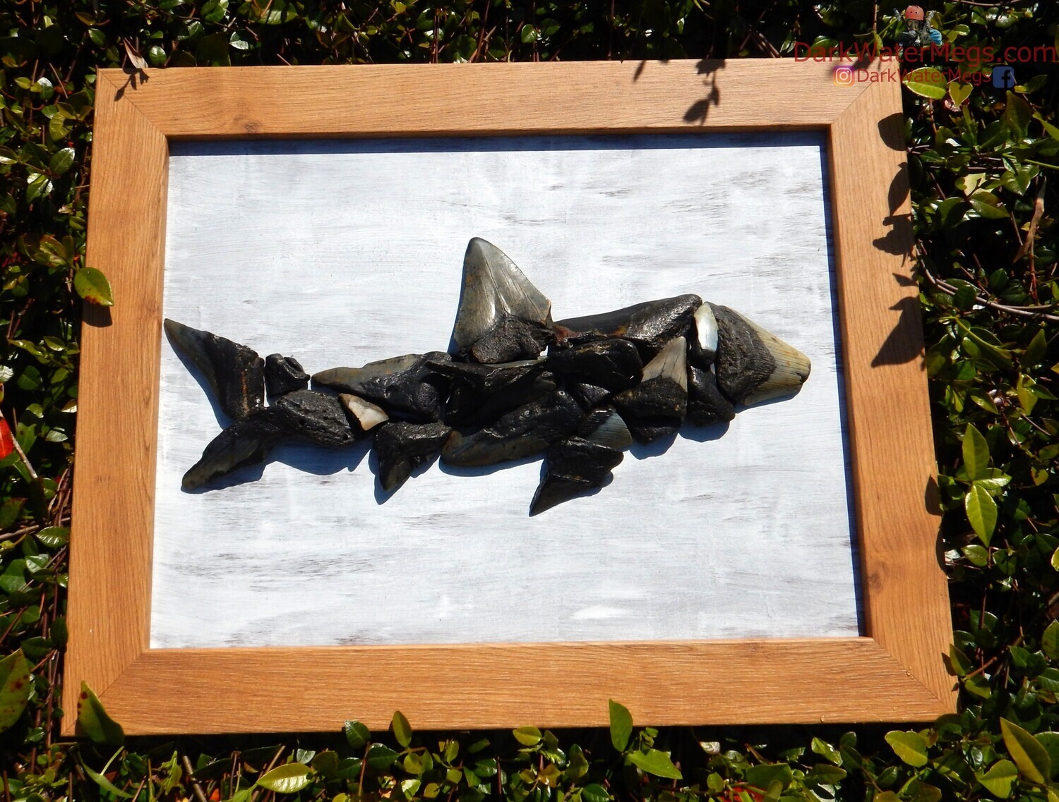 megalodon art made from megalodon teeth