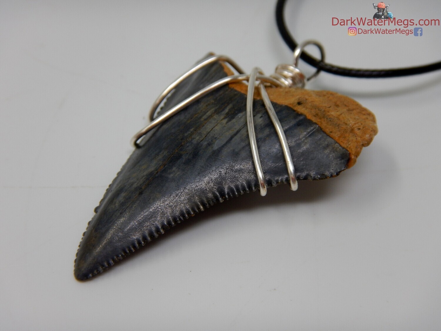 1.95&quot; beautiful fossil great white necklace