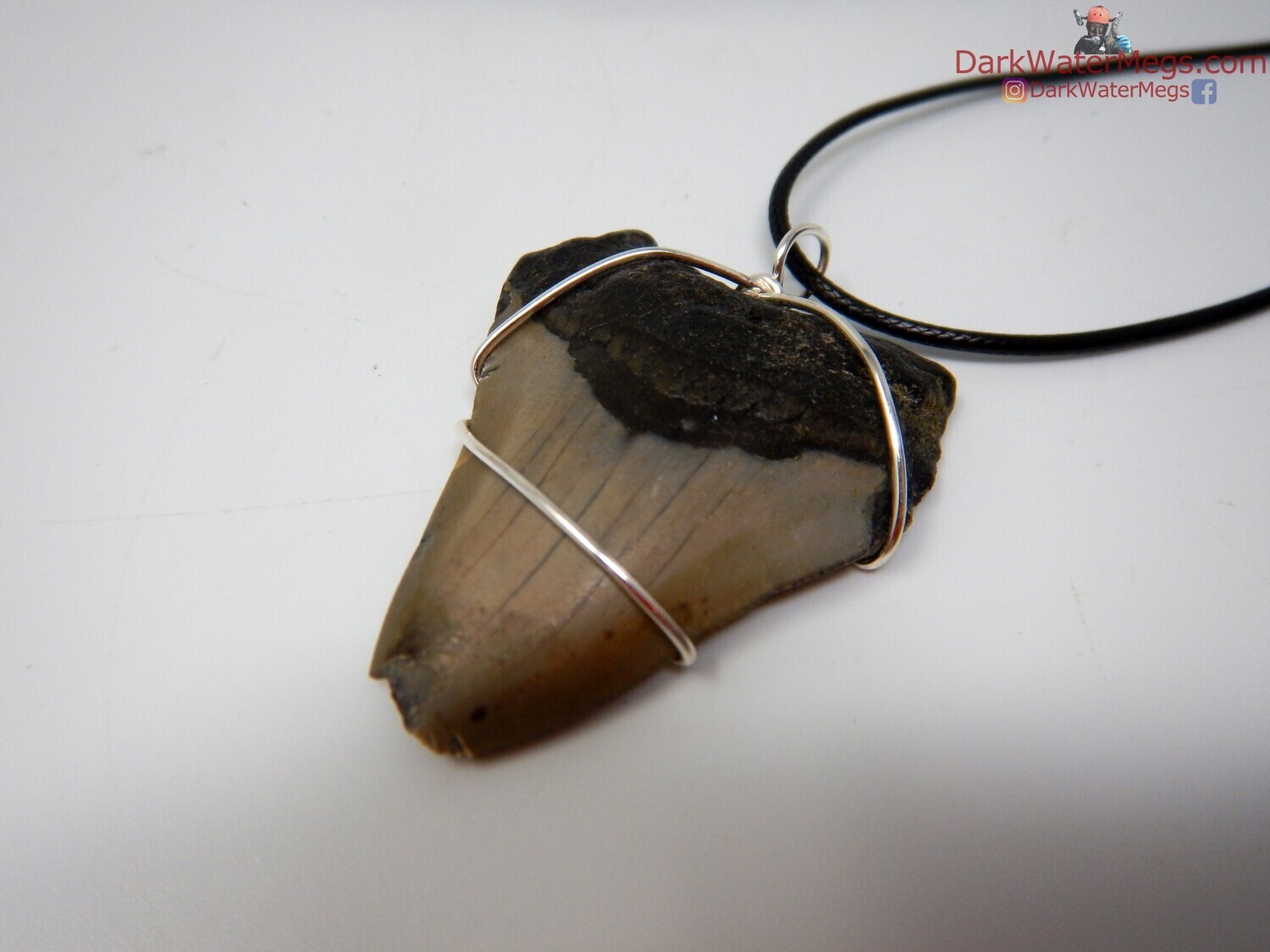 2.11&quot; Fossil megalodon necklace