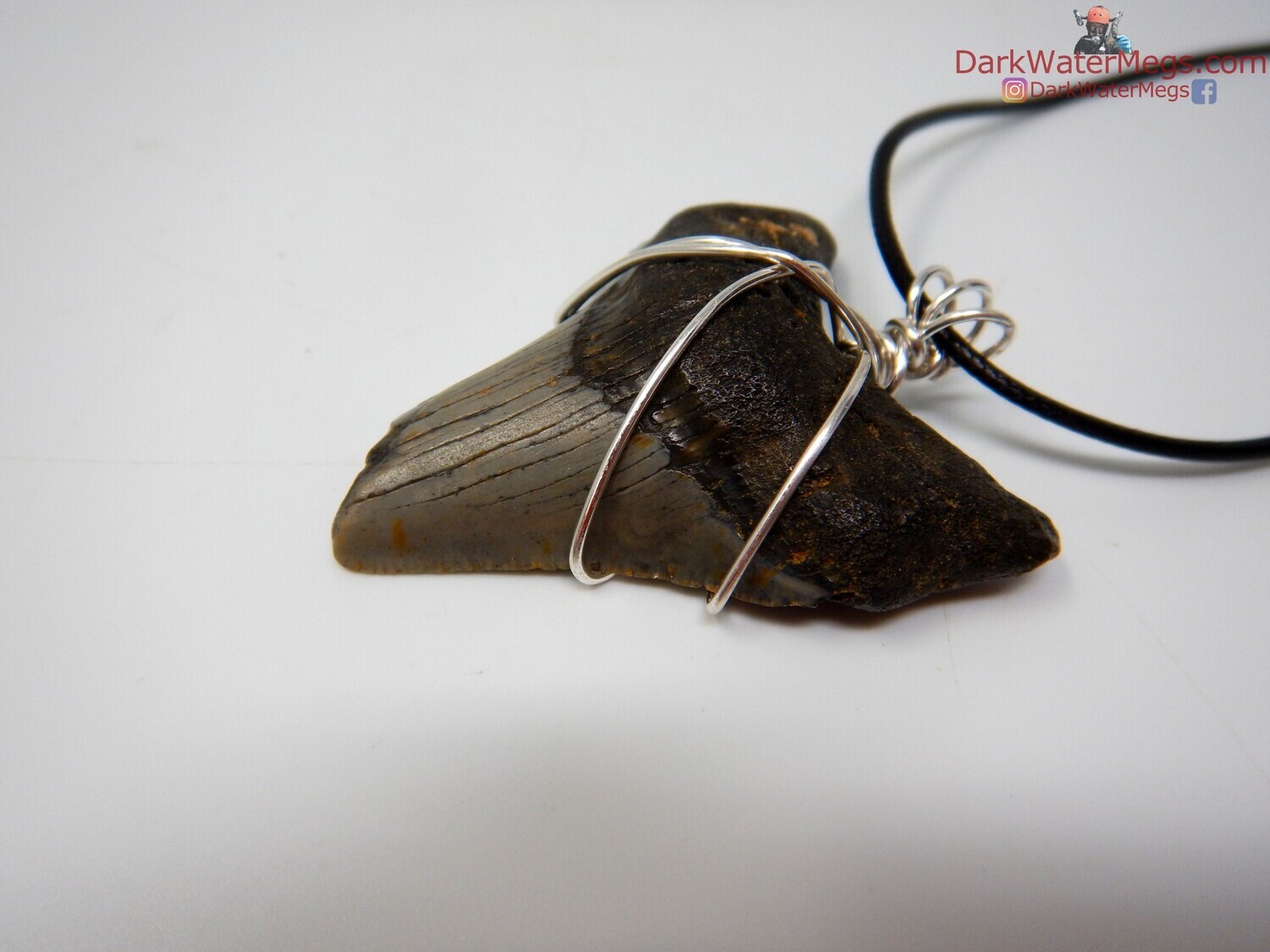 2.34&quot; Fossil megalodon necklace