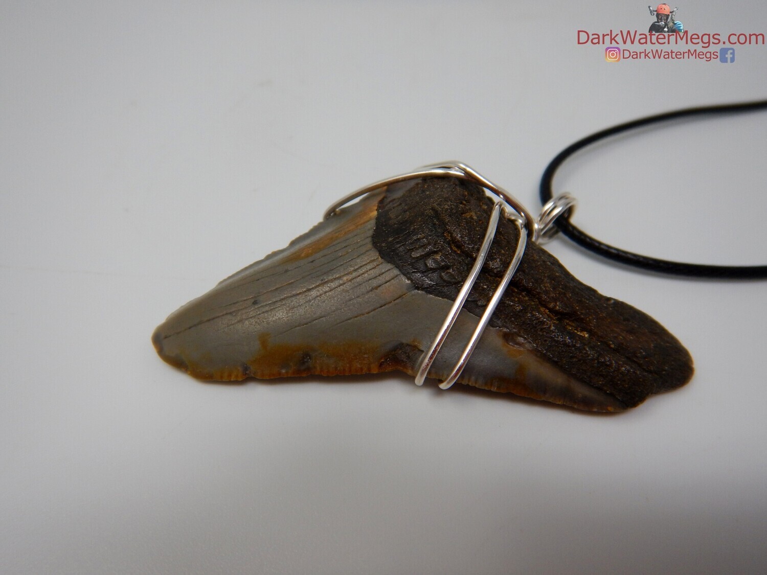 2.53&quot; Fossil megalodon necklace