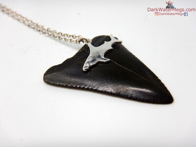 1.55" jet black great white fossil necklace