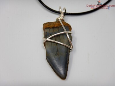 1.55" fossil great white necklace