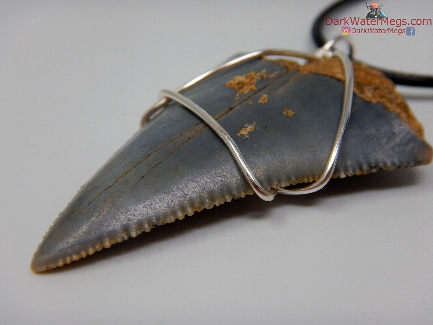 1.99&quot; large fossil great white necklace