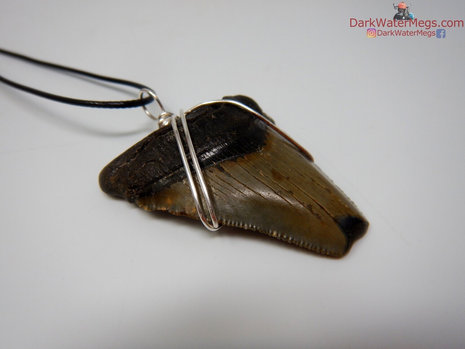 2.30&quot; Fossil megalodon necklace