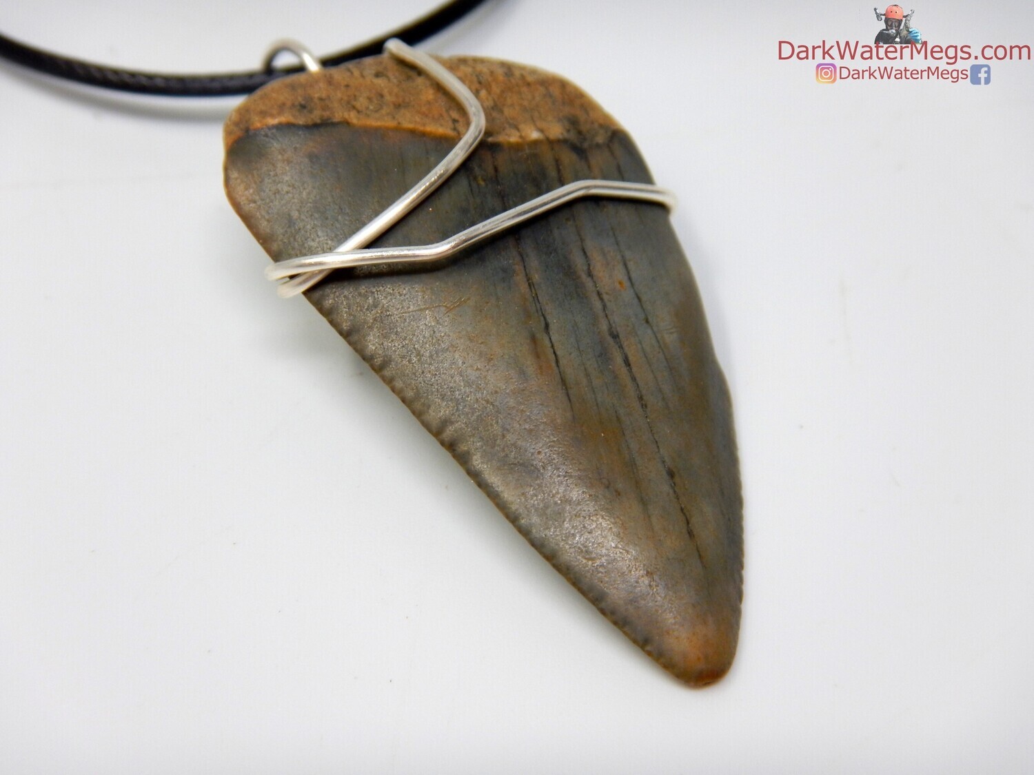 1.91&quot; big fossil great white necklace