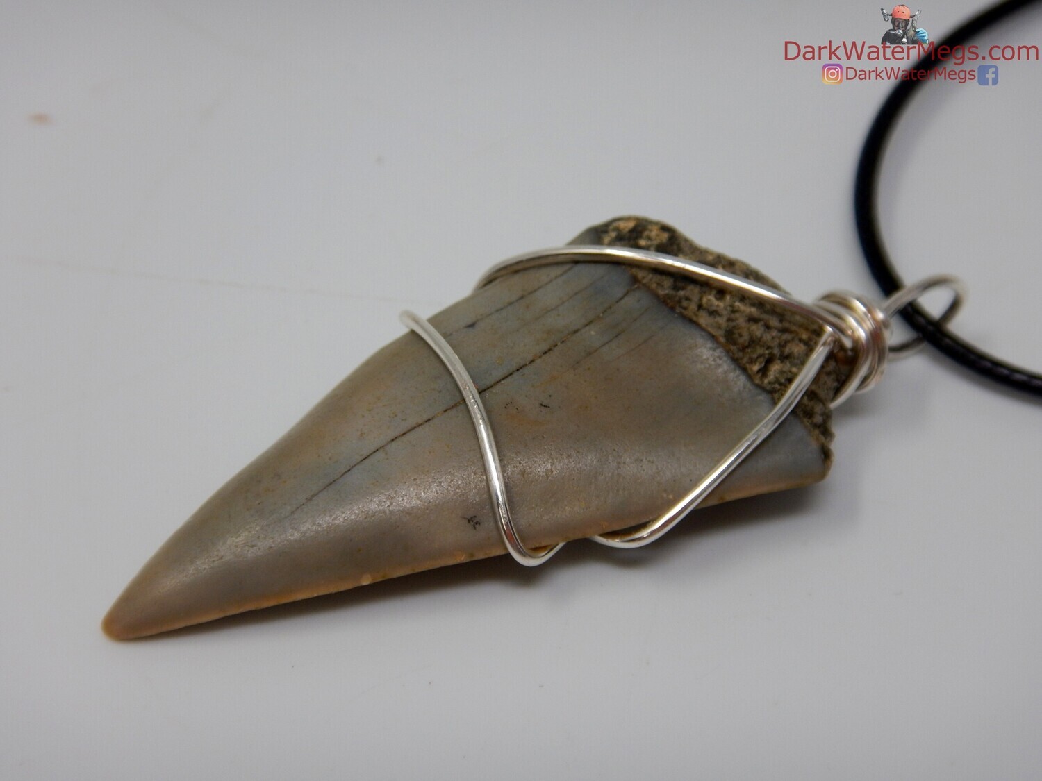 1.93&quot;  fossil mako necklace