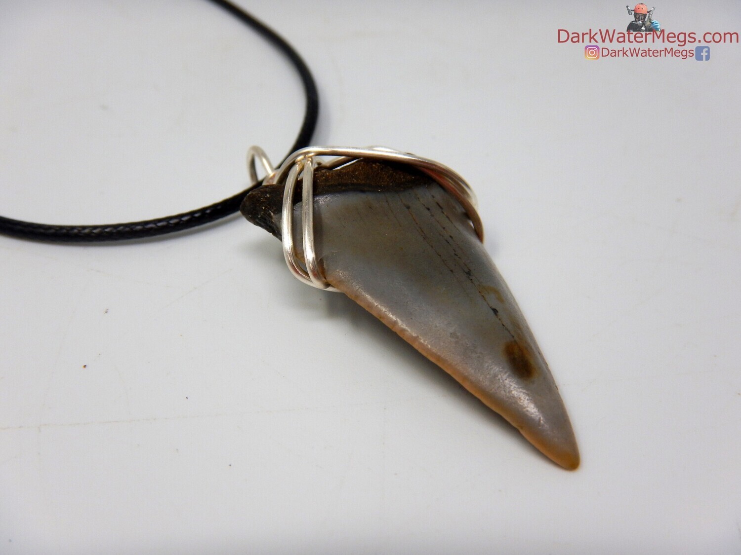 1.60&quot;  fossil mako necklace