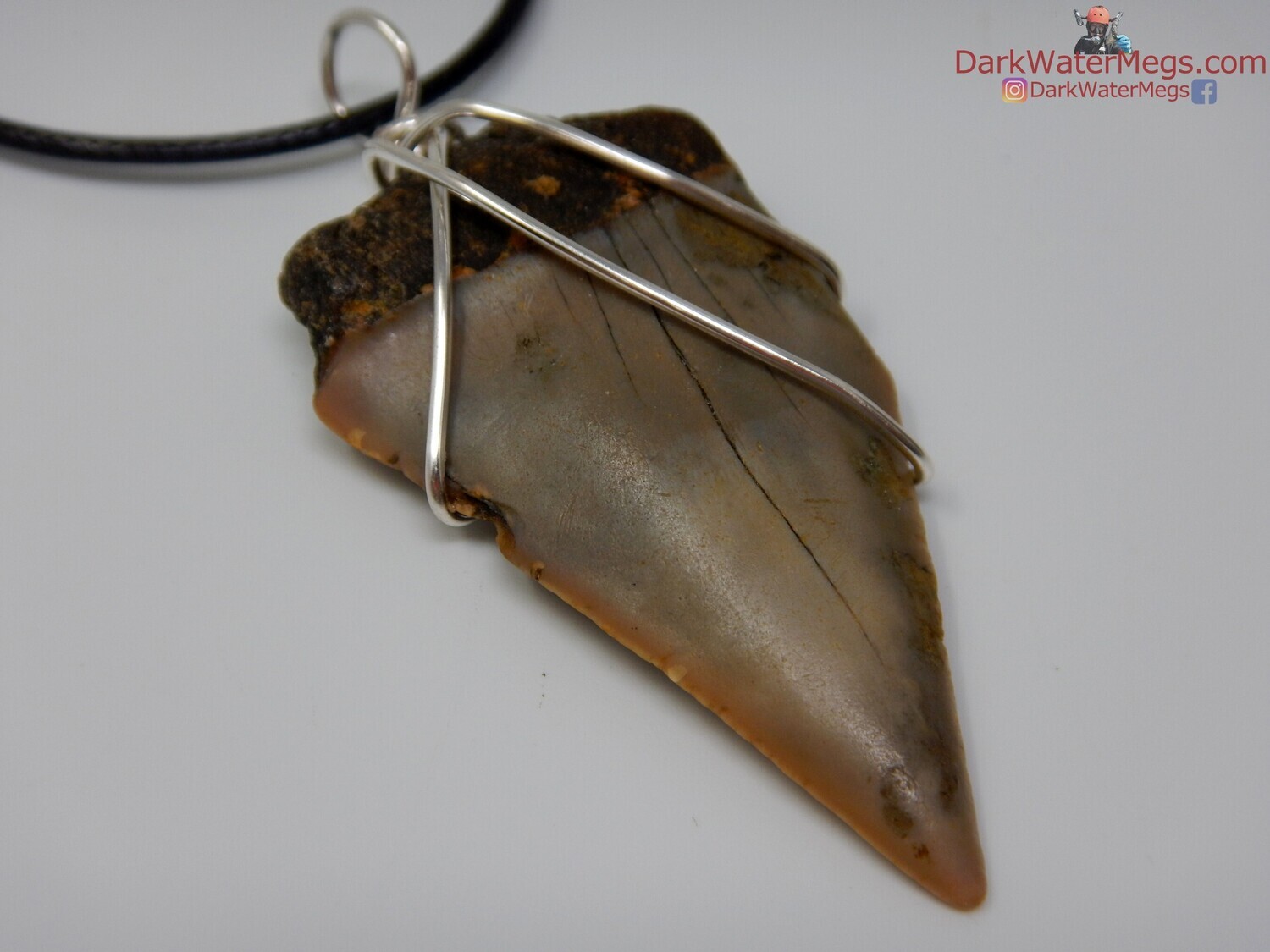 1.99&quot;  fossil mako necklace