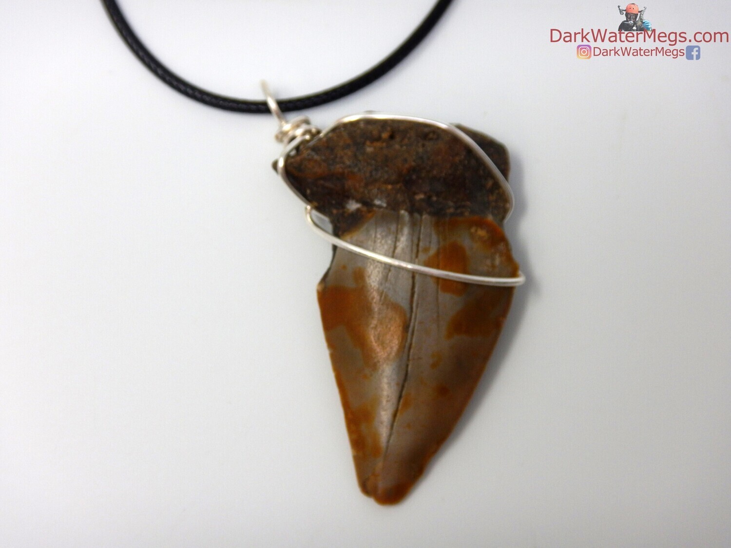 2.08&quot;  fossil mako necklace