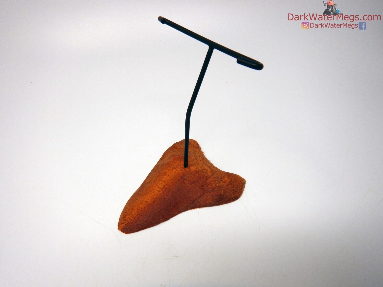 L / M  Specialty Wood stand with metal upright -22