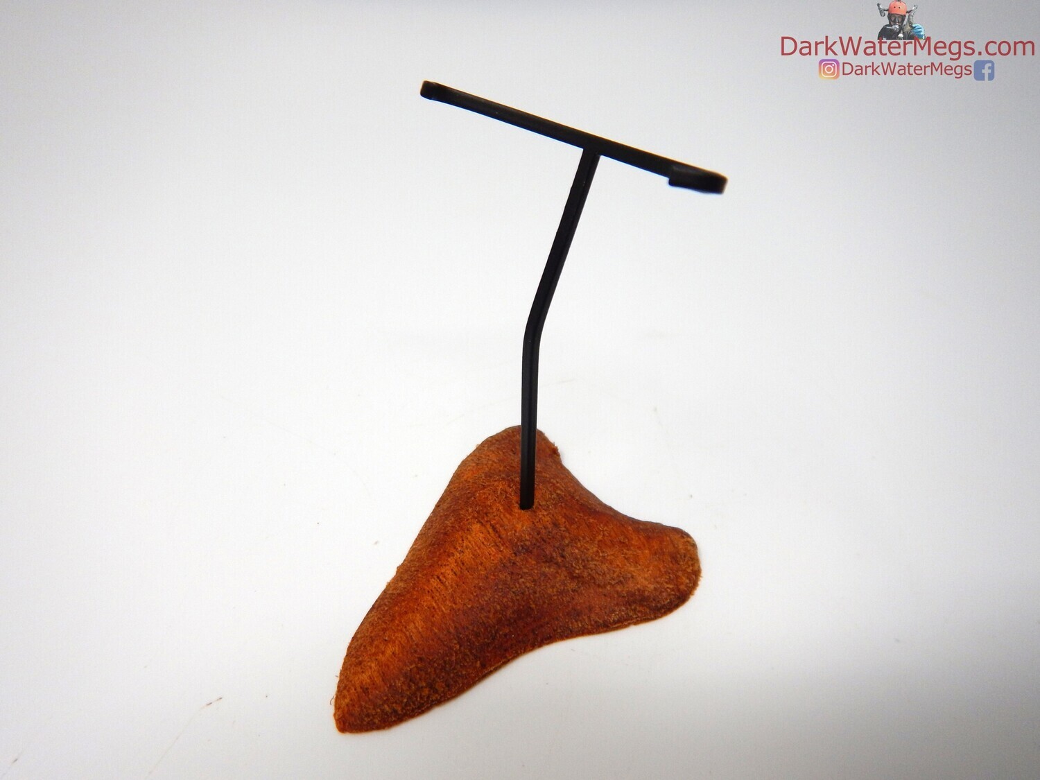 S / XS  Specialty Wood stand with metal upright -66