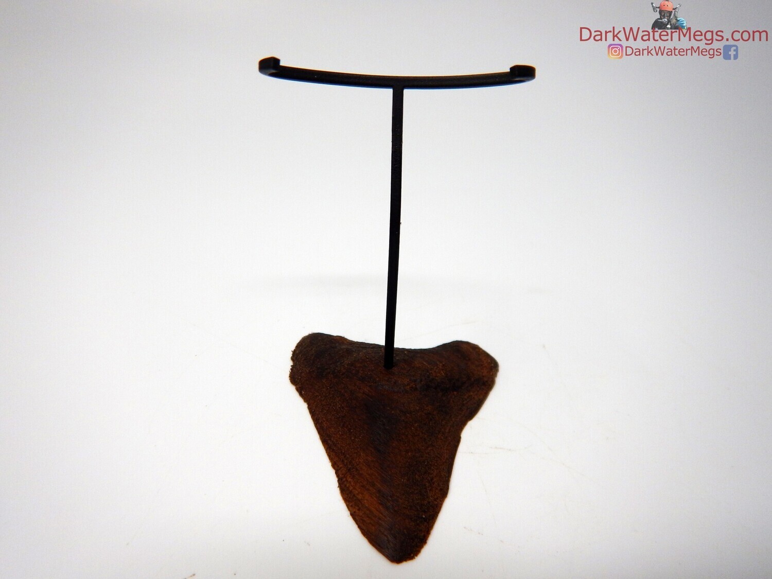 S / XS  Specialty Wood stand with metal upright -64