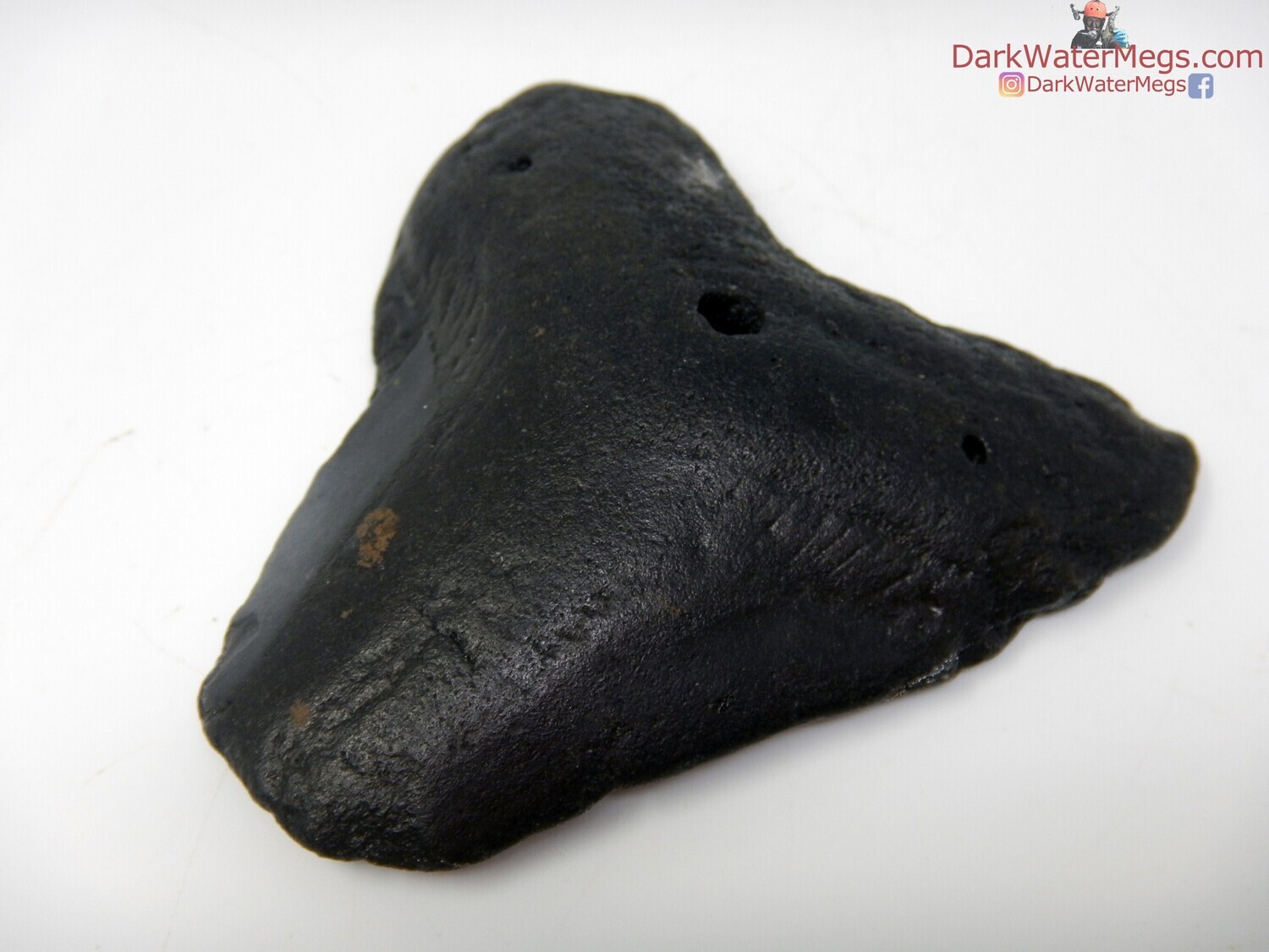 3.27 super dark megalodon