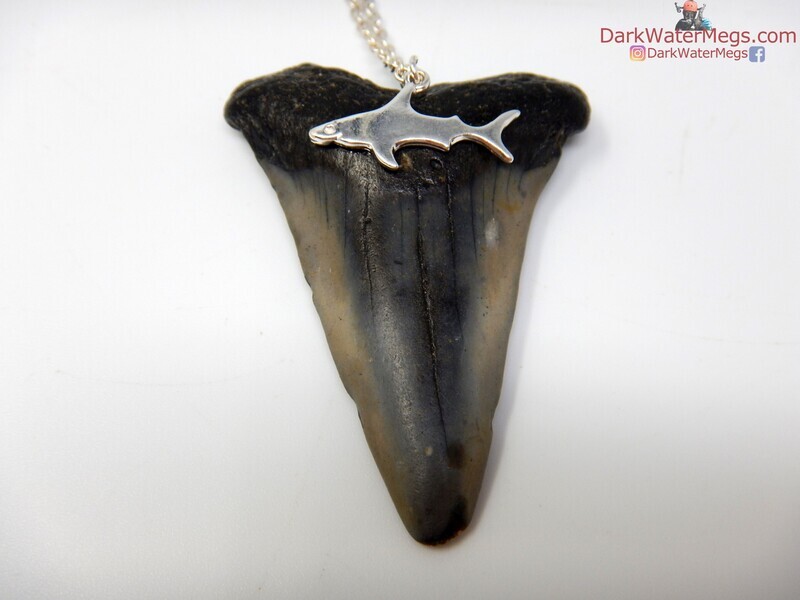 2.02&quot;  Mako Necklace
