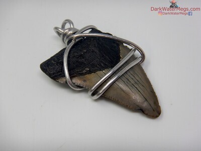 1.87" Megalodon Fossil Necklace Wire Wrapped