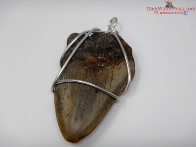 2.82" Megalodon Necklace Wire Wrapped