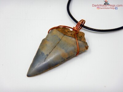 1.75" Wire Wrapped Mako Necklace