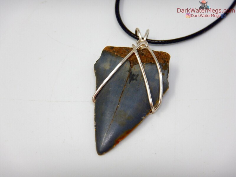 1.69&quot;  Wire Wrapped Mako Necklace