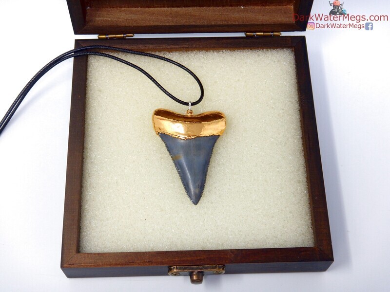 2.21&quot; serrated fossil great white necklace