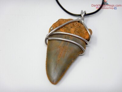 2.21" fossil great white necklace