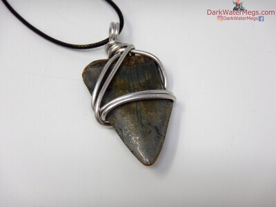 1.75" fossil great white necklace