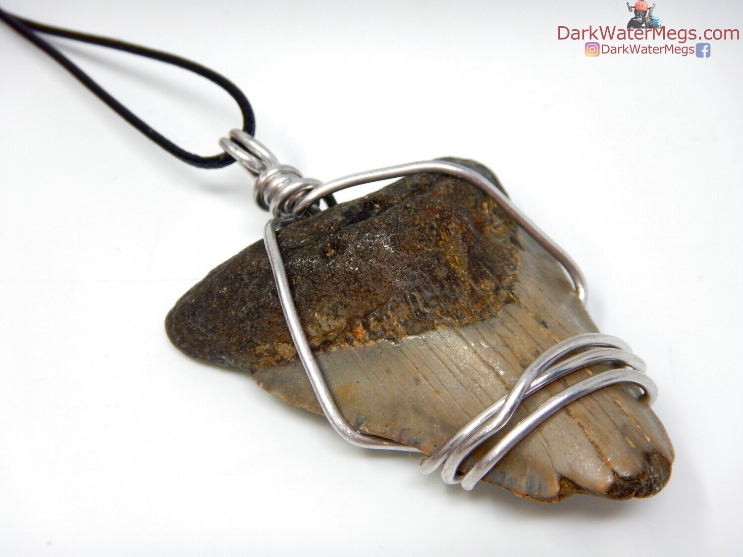 2.64&quot; megalodon necklace