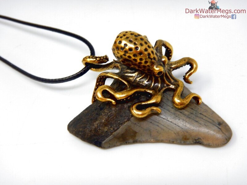 2.15&quot; brass setting megalodon necklace