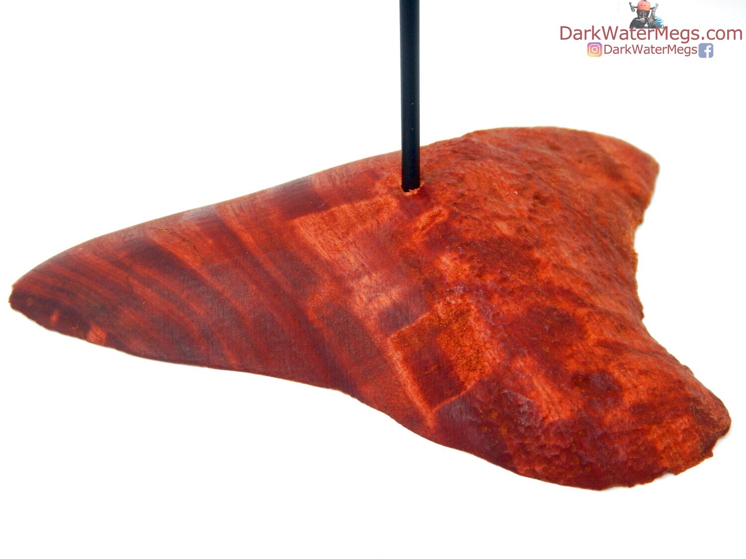 XL / L / M  Specialty Wood stand with metal upright -A8