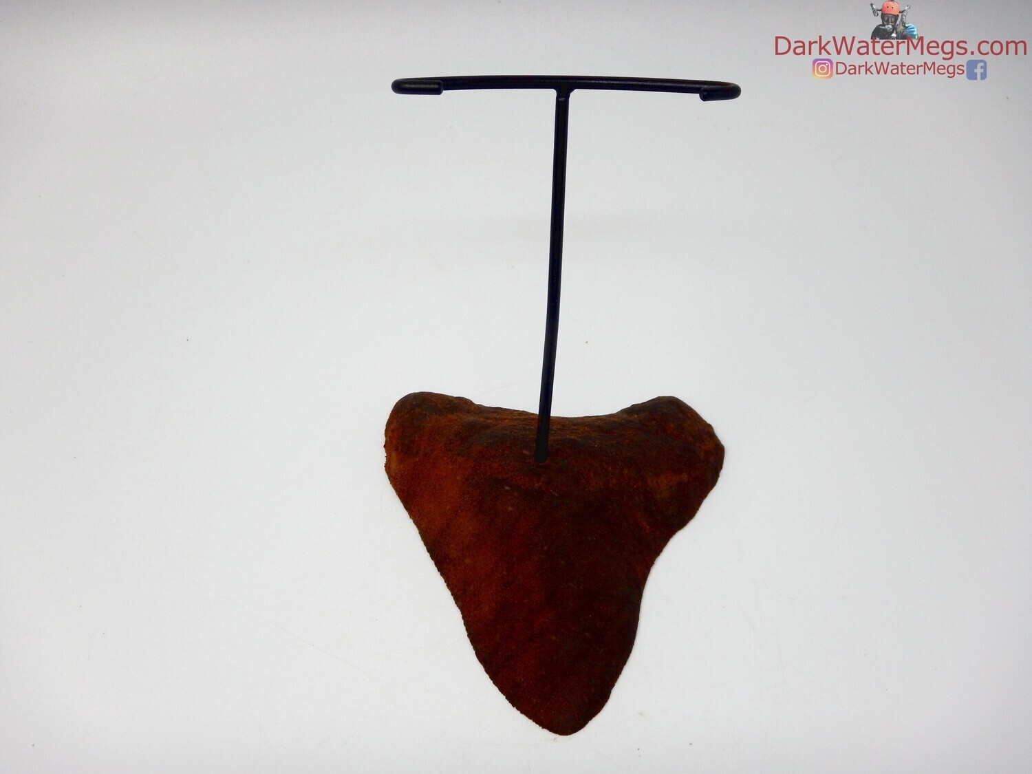 XL / L / M  Specialty Wood stand with metal upright -A7