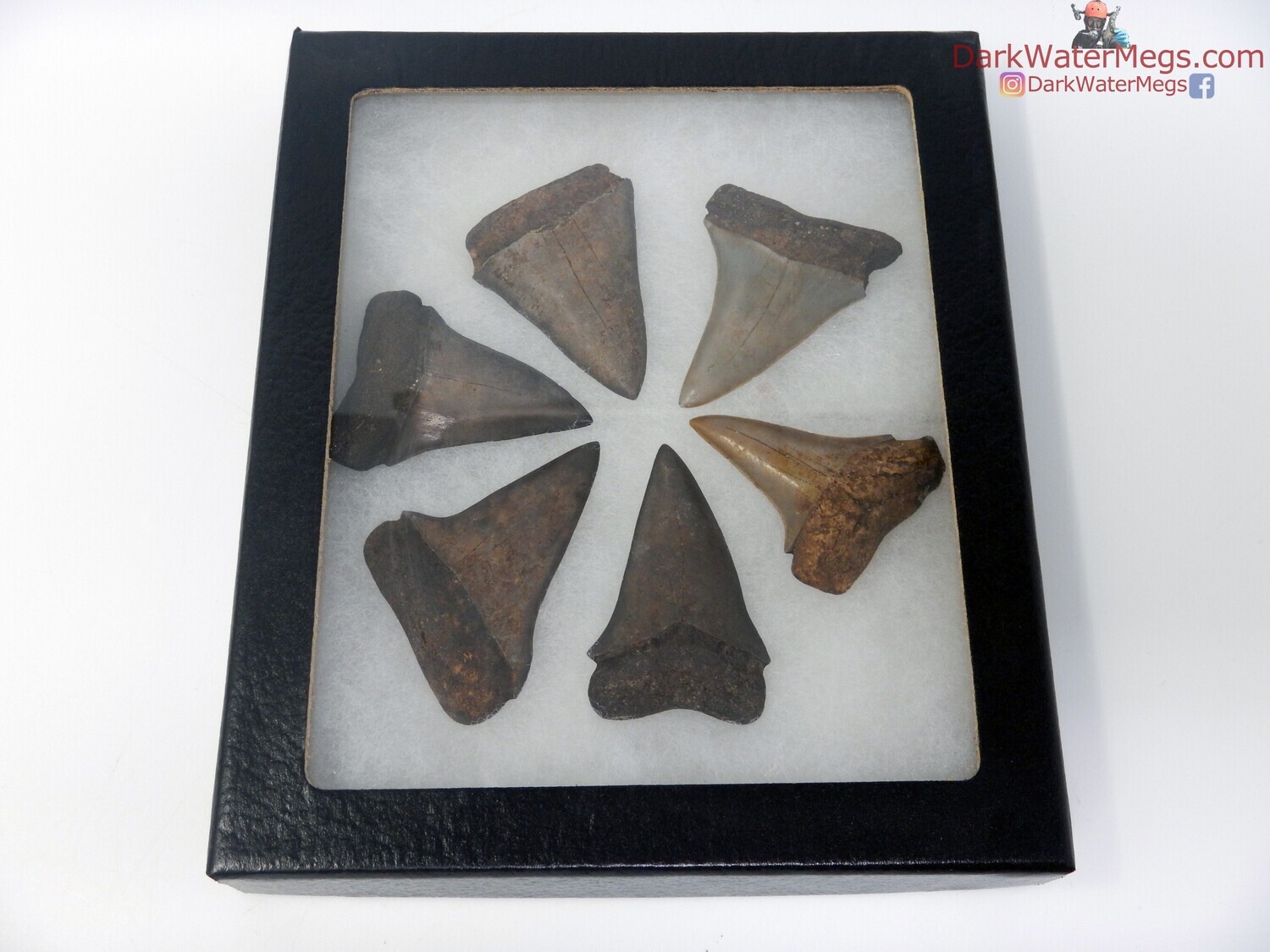 Mako set of 6