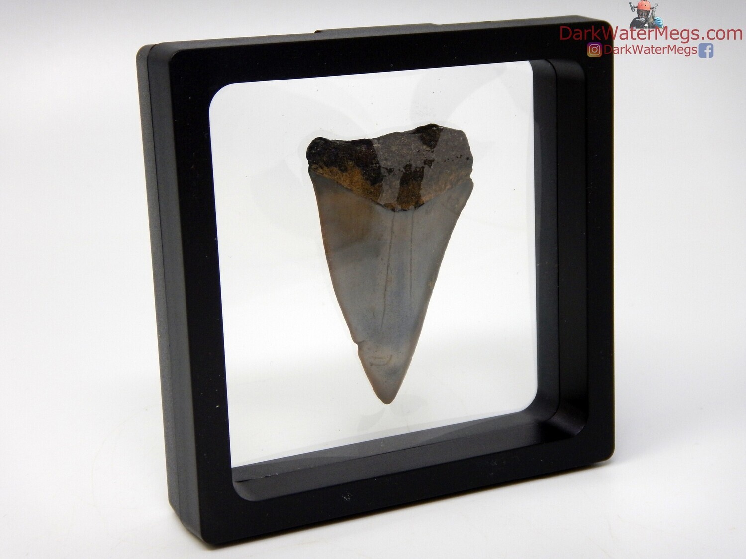 2.13&quot; mako in floating frame